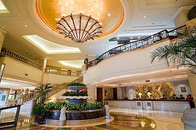 《宝可梦》直播活动2月27日举行 时长约20分钟